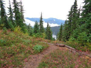 Foggy view from Sunrise Mountain