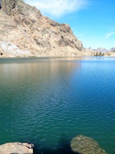 Should have gone for a swim