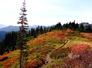 Trail going through fall foliage along the ridge