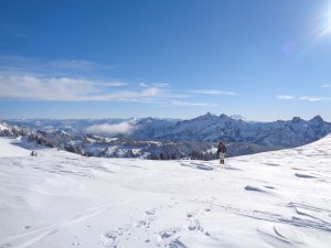 Made it up the short slope between the turn off from Skyline to Panorama