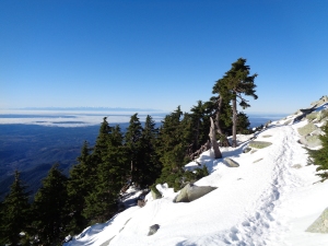 Trail along a talus slope just above the trees, inversion fog in the background