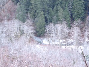 Perry Creek down below