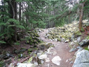 Greener than the entire state of Illinois right now