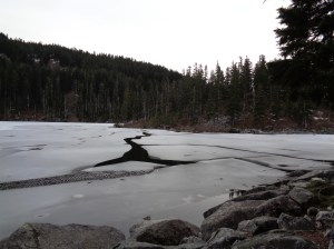 Cracks in the ice along Mason Lake