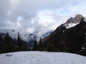 Mt. Forgotten from the meadows