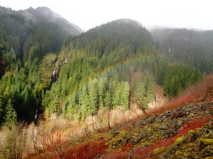 Look closely - double rainbow!