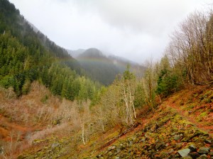 Just another rainbow