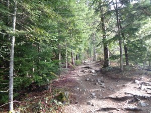 Sunlight got our hopes up