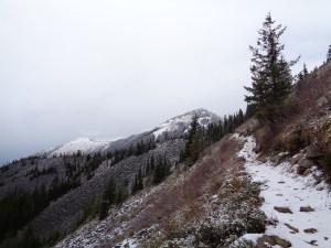 Summit of Defiance visible from the Mason Lake trail