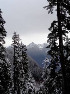 Sneak peek of views before cloud level dropped