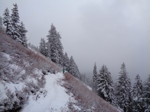 Lee traversing the meadows below Defiance