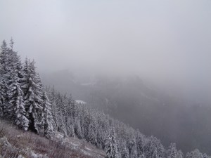 Mason Lake and Little Mason Lake down below