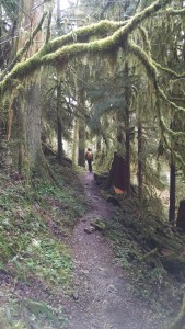 Jonathan disappearing into green