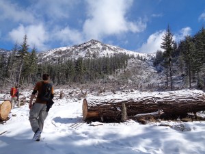 Looking up at Navaho and a small avalanche/slide area (before pic, see after pic below)