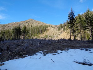 "after" pic - no snow left on the lower peaks!