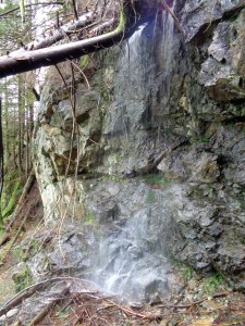 Waterfall shower along the trail