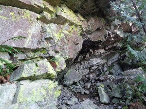 If you look very closely you can see places to clip in dangling on the right