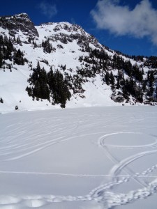 Ski and snowmobile tracks beneath Winchester