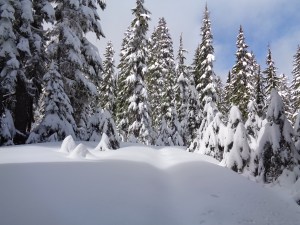 You can see the old trail at points