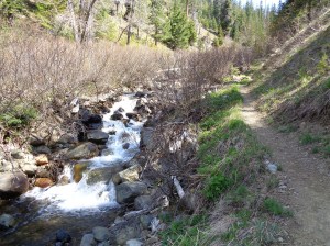 Trail next to Bean Creek
