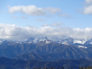 Zoomed in pic of Stuart