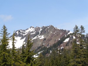 The west side of Alta's ridge. I made it to the point on the far right, true summit is on the left.