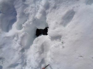 An Eve shaped space!