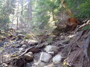 The best game: where's the trail? (answer in text)