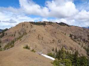 Looking towards Elbow along the ridge