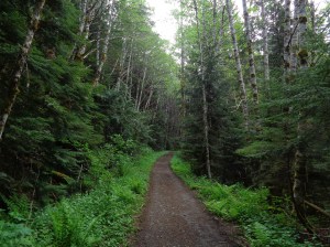 Upper trail, wide, flat, and green!