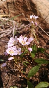 Anyone know the name?