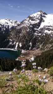 Wildflowers above Deep Lake