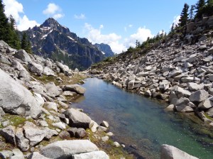 Outlet stream where I took a dip