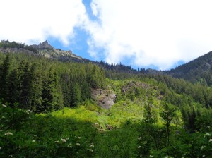 Hibox above the meadow