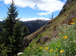 Rampart Ridge beyond the wildflowers
