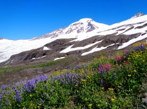 Mt. Baker back in July on our first attempt