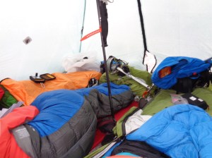 Who wants to snuggle?!