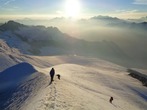 One more for good measure