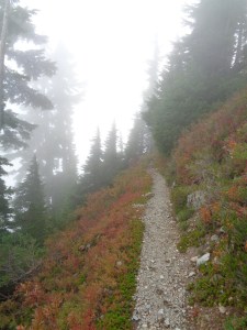 Fall color starting along the Lake Ann trail
