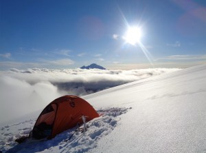 Whose beautiful Nemo tent is that