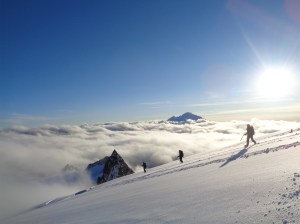 The best picture I have taken in my life