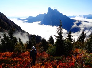 Finally getting above the trees and brush, Baring in the background