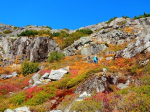 I mean there was some fall foliage