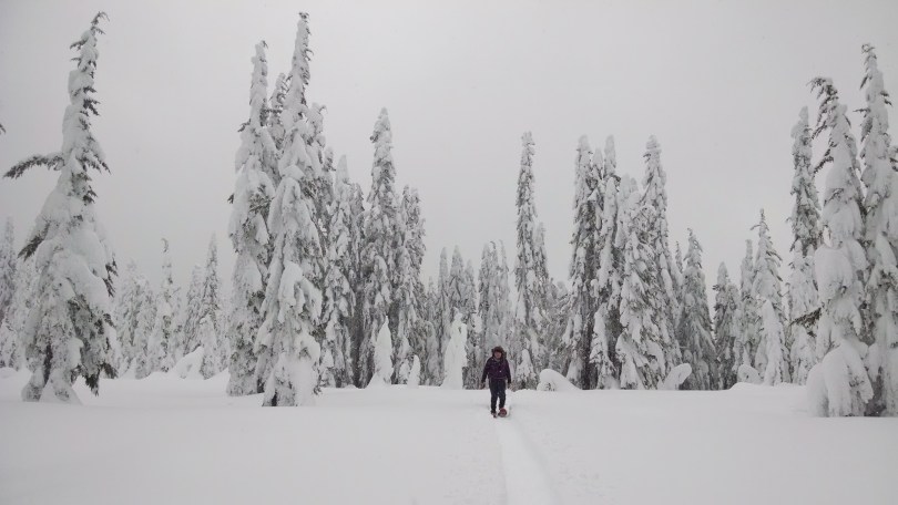 IMG_20160123_104328576