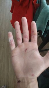 img_20160713_070645292