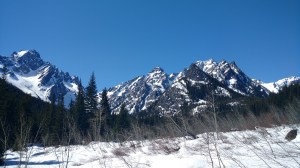 IMG_20170507_104157162