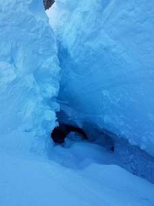 received_10156043874113056