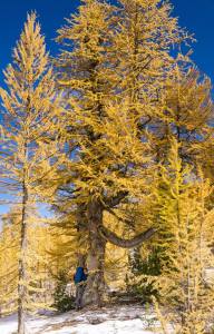 22365545_10201794821609369_5546484315282062269_n