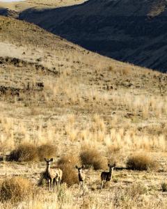 27787324_10201996851459989_543334778_o