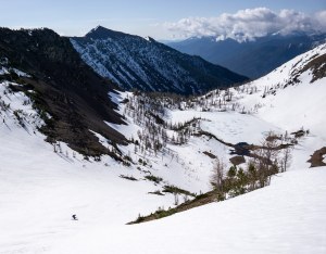 41377390775_cbbef05a13_h